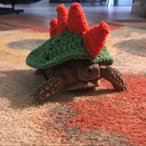 Meet your Posher, Jay